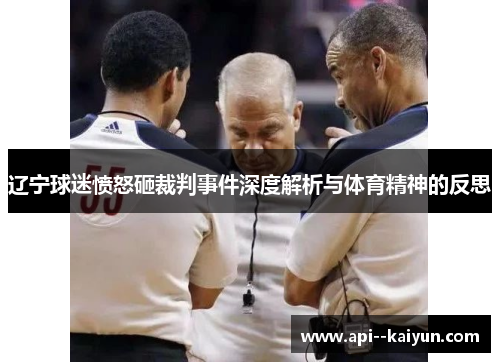 辽宁球迷愤怒砸裁判事件深度解析与体育精神的反思 辽宁球迷愤怒砸裁判事件深度解析与体育精神的反思