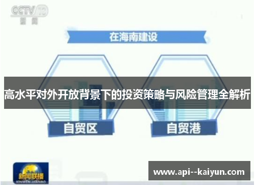 高水平对外开放背景下的投资策略与风险管理全解析