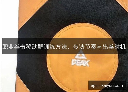 职业拳击移动靶训练方法，步法节奏与出拳时机